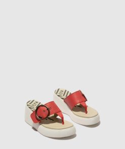 Thetradeco.shop1eaae323ad 2