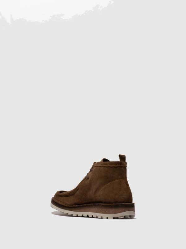 Thetradeco.shop2b349c32fa 3