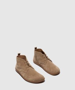 Thetradeco.shop308f5f92aa 2