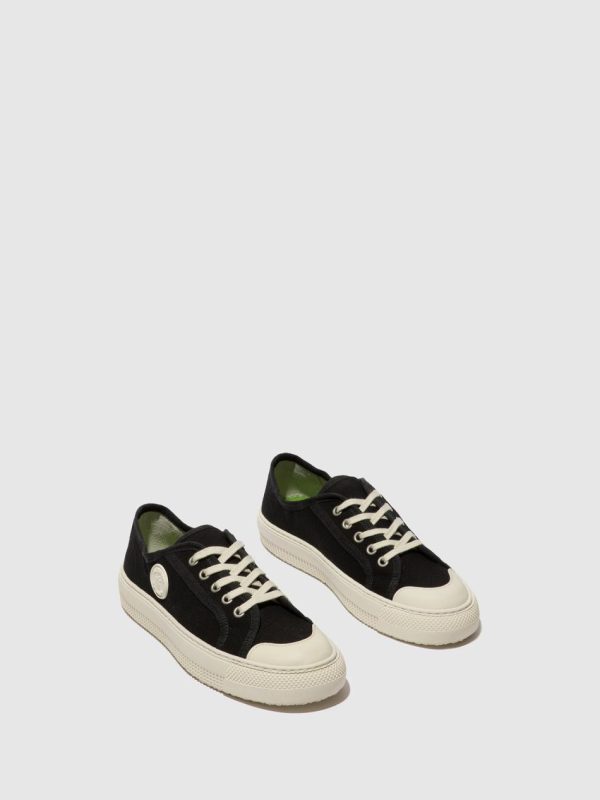 Thetradeco.shop49c684250d 2