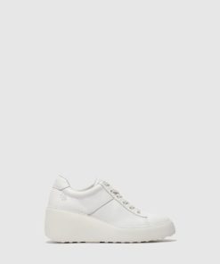 Thetradeco.shop4f9b9596cf 1