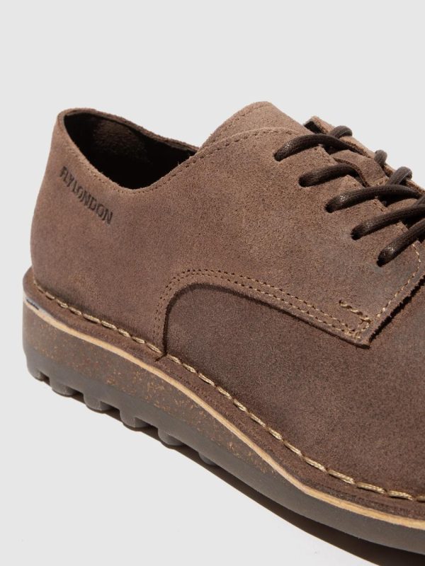 Thetradeco.shop59a5ba2842 4