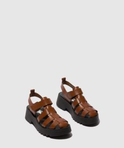 Thetradeco.shop62979171dd 2