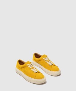 Thetradeco.shop6b884f0af9 2