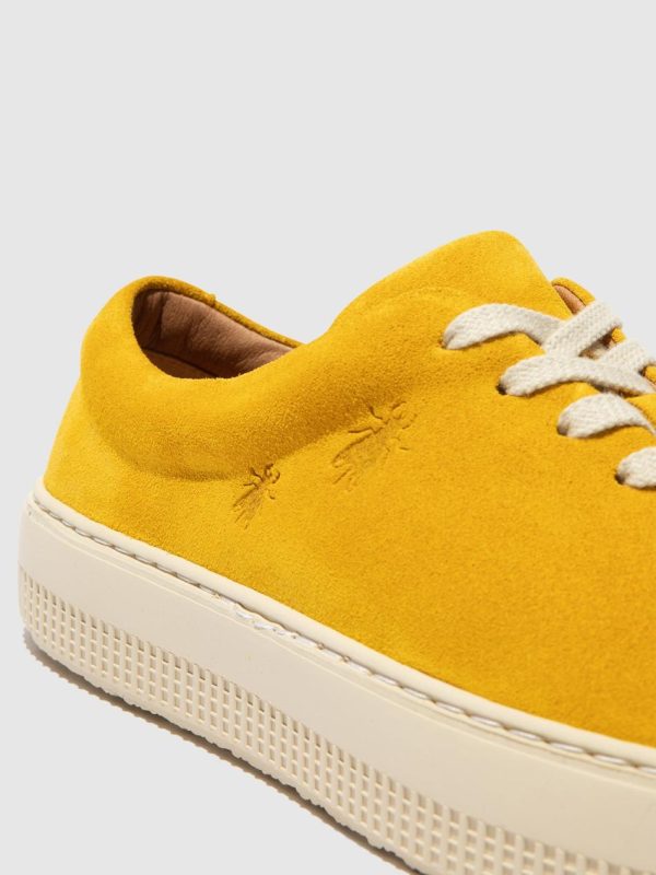 Thetradeco.shop6b884f0af9 4