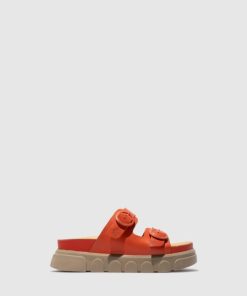 Thetradeco.shop71e799a12b 1