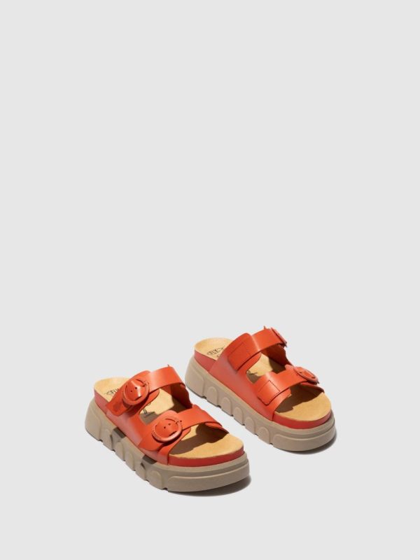 Thetradeco.shop71e799a12b 2