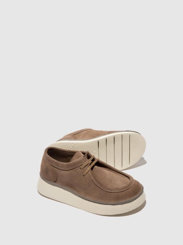 Thetradeco.shop798fb07d67 4