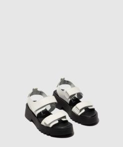 Thetradeco.shop7ec6db7fd7 2