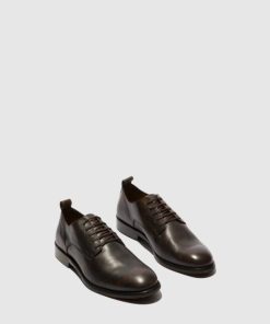 Thetradeco.shop8f09c4743d 2