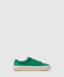 Thetradeco.shopcd95ee6401 1