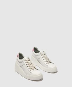 Thetradeco.shopede86af2a8 2